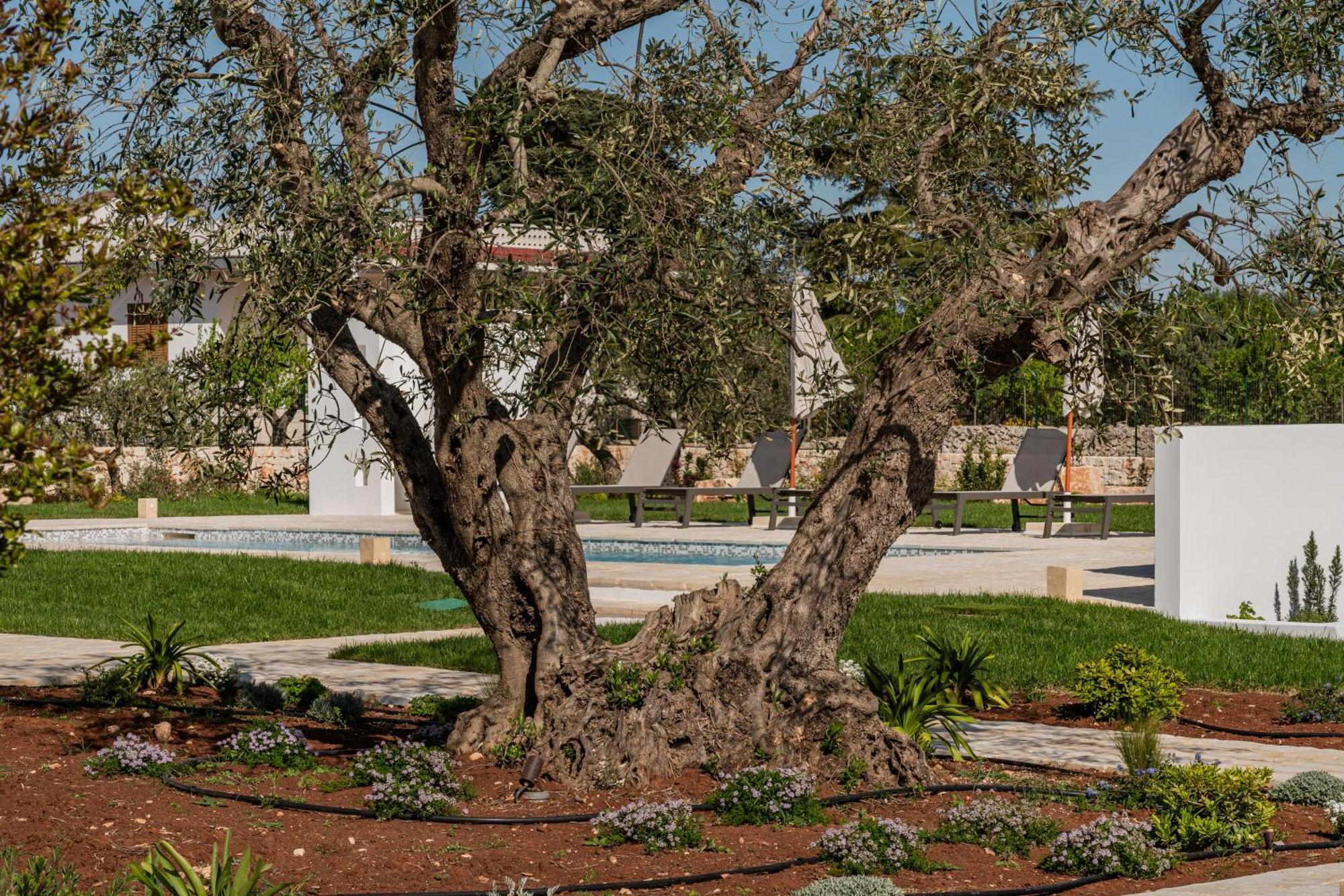 אוסטוני Trullo Jale - Boutique Apartments מראה חיצוני תמונה